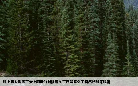 晚上因为喝酒了去上厕所的时候蹲久了还是怎么了突然站起来眼前