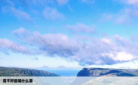 胃不好能喝什么酒