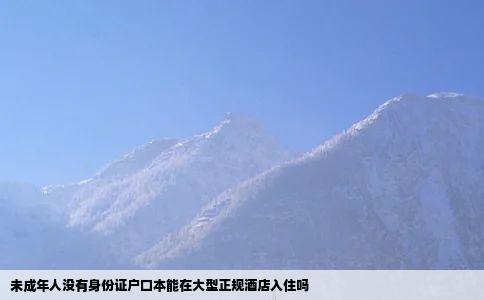 未成年人没有身份证户口本能在大型正规酒店入住吗