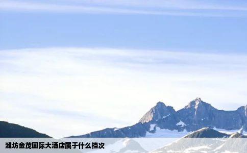 潍坊金茂国际大酒店属于什么档次