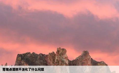 胃喝点酒就不消化了什么问题