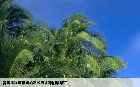 胃喝酒疼吃饭恶心怎么办大神们帮帮忙