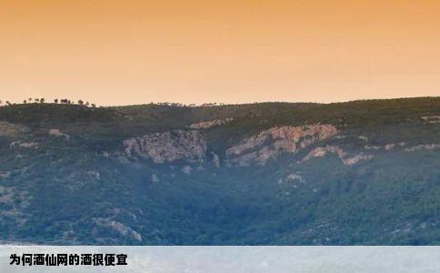 为何酒仙网的酒很便宜