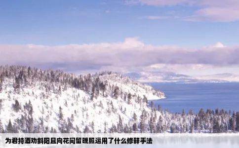 为君持酒劝斜阳且向花间留晚照运用了什么修辞手法