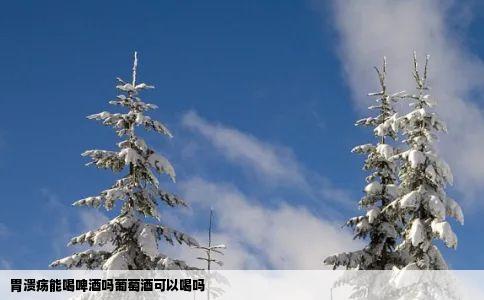 胃溃疡能喝啤酒吗葡萄酒可以喝吗