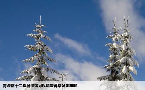 胃溃疡十二指肠溃疡可以喝普洱茶吗奶粉呢