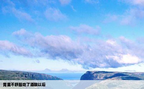 胃里不舒服吃了酒酿以后