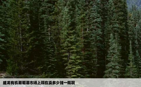 威龙有机葡萄酒市场上现在卖多少钱一瓶啊