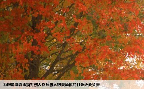 为啥喝酒耍酒疯打伤人然后被人把耍酒疯的打死还要负责