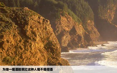 为啥一喝酒脸就红这种人喝不喝得酒