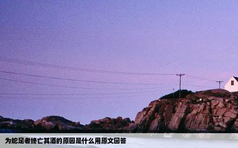 为蛇足者终亡其酒的原因是什么用原文回答