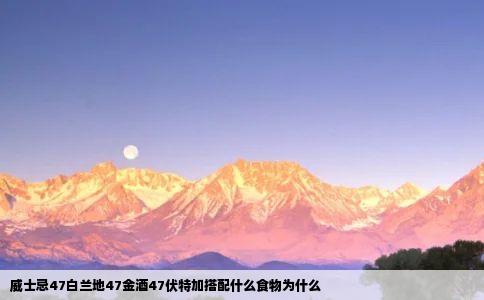 威士忌47白兰地47金酒47伏特加搭配什么食物为什么