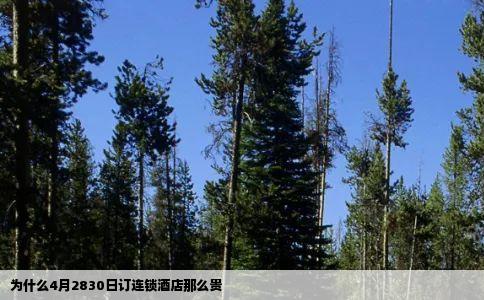 为什么4月2830日订连锁酒店那么贵