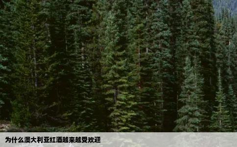 为什么澳大利亚红酒越来越受欢迎
