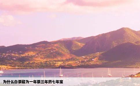 为什么白茶称为一年茶三年药七年宝