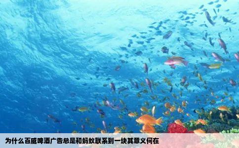 为什么百威啤酒广告总是和蚂蚁联系到一块其意义何在