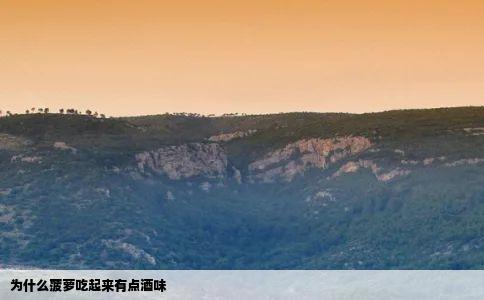 为什么菠萝吃起来有点酒味