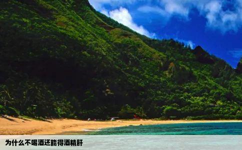 为什么不喝酒还能得酒精肝