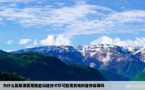 为什么陈酿酒要用陶瓷坛储存才好可能用其他的储存容器吗