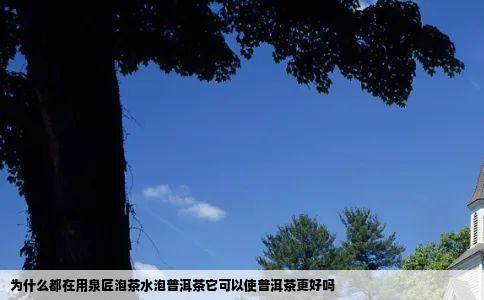 为什么都在用泉匠泡茶水泡普洱茶它可以使普洱茶更好吗