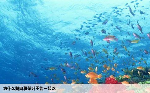 为什么鹅肉和茶叶不能一起吃