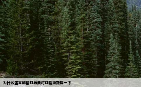 为什么盖灭酒精灯后要将灯帽重新提一下