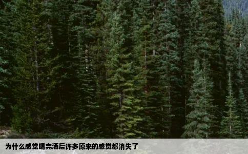为什么感觉喝完酒后许多原来的感觉都消失了