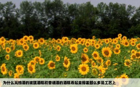 为什么高档酒的玻璃酒瓶和普通酒的酒瓶看起来相差那么多是工艺上