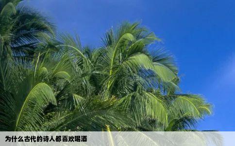 为什么古代的诗人都喜欢喝酒
