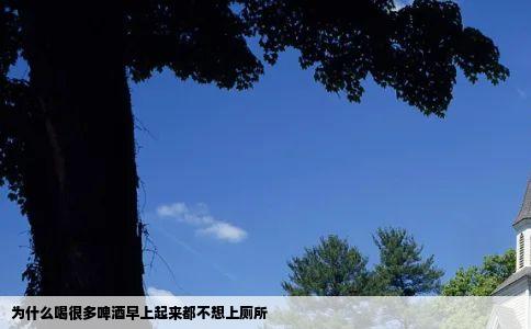 为什么喝很多啤酒早上起来都不想上厕所