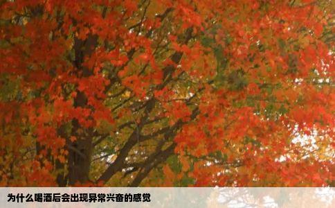 为什么喝酒后会出现异常兴奋的感觉