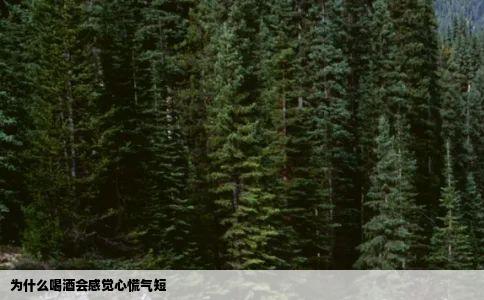 为什么喝酒会感觉心慌气短