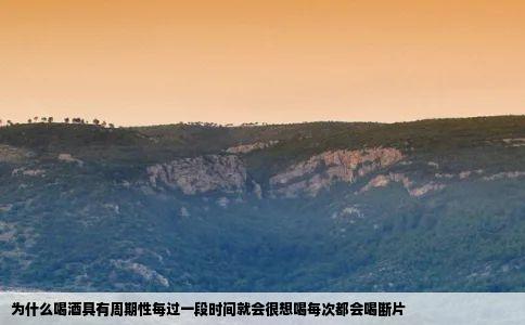 为什么喝酒具有周期性每过一段时间就会很想喝每次都会喝断片