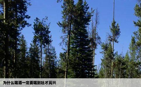 为什么喝酒一定要喝到吐才高兴