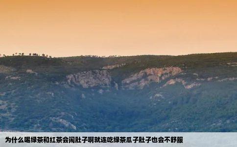 为什么喝绿茶和红茶会闹肚子啊就连吃绿茶瓜子肚子也会不舒服