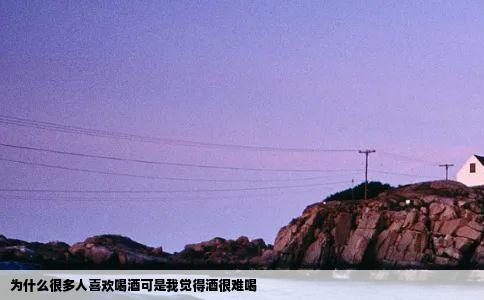 为什么很多人喜欢喝酒可是我觉得酒很难喝