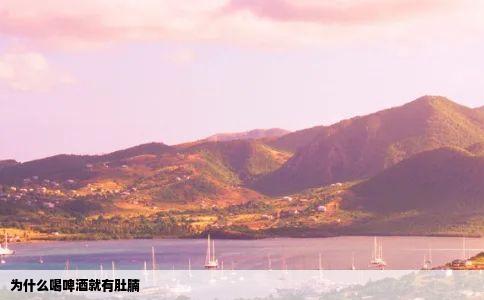 为什么喝啤酒就有肚腩