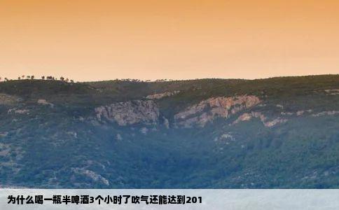 为什么喝一瓶半啤酒3个小时了吹气还能达到201