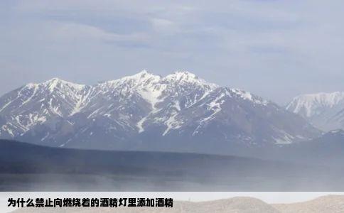 为什么禁止向燃烧着的酒精灯里添加酒精
