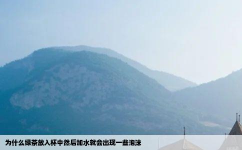 为什么绿茶放入杯中然后加水就会出现一些泡沫