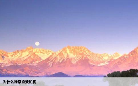 为什么绿茶喜欢拍脚