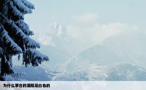 为什么茅台的酒瓶是白色的