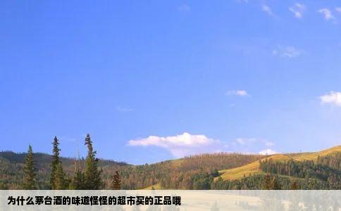 为什么茅台酒的味道怪怪的超市买的正品哦