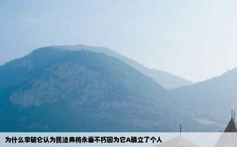 为什么拿破仑认为民法典将永垂不朽因为它A确立了个人