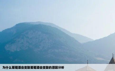 为什么葡萄酒会变酸葡萄酒会变酸的原因分析
