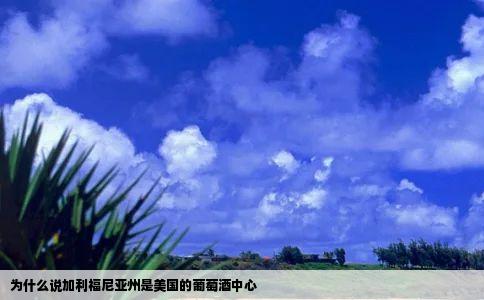 为什么说加利福尼亚州是美国的葡萄酒中心