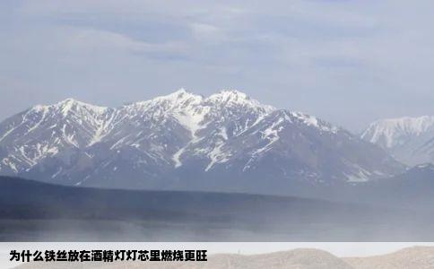 为什么铁丝放在酒精灯灯芯里燃烧更旺