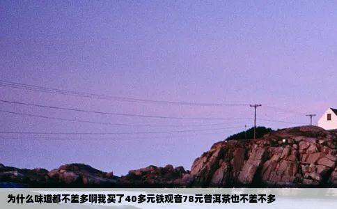 为什么味道都不差多啊我买了40多元铁观音78元普洱茶也不差不多