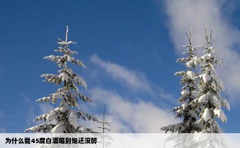 为什么我45度白酒喝到饱还没醉