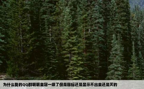 为什么我的QQ群明明皇冠一级了但是图标还是显示不出来还是灭的